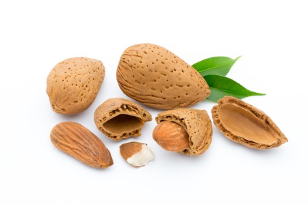 Shelled Almonds